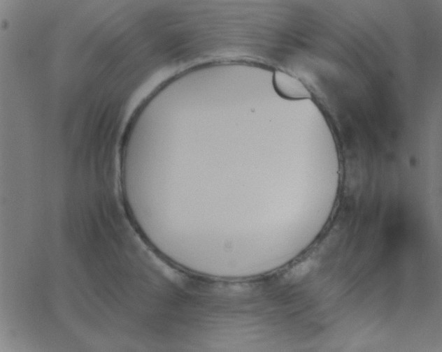 X0000067911286200604271908