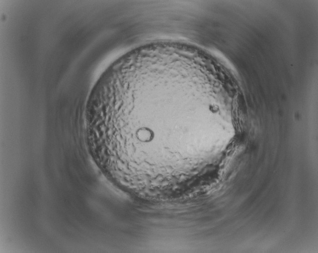 X0000067911287200604271908