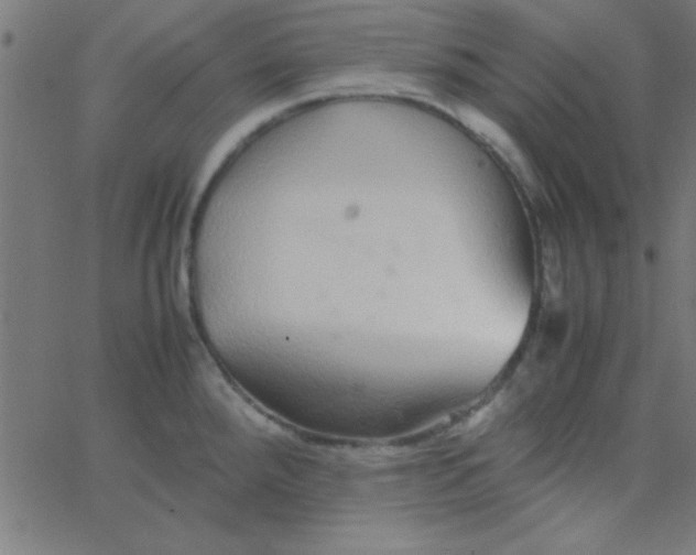 X0000067911288200604271908