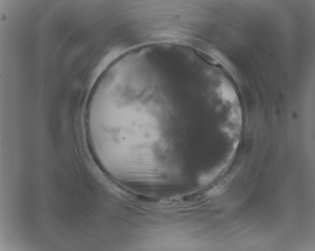 X0000067911291200604271908