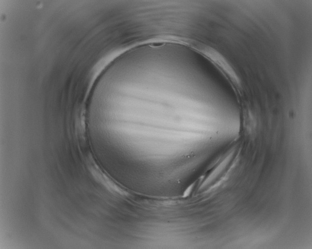 X0000067911292200604271908