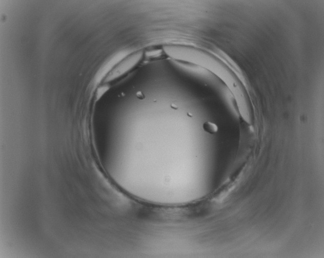 X0000067911293200604271908