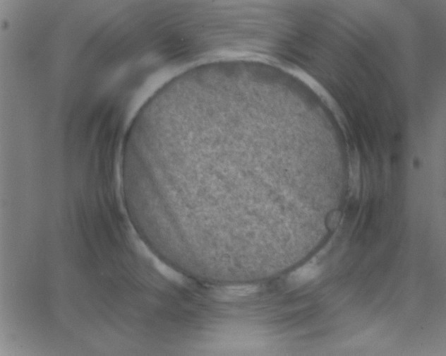 X0000067911294200604271908