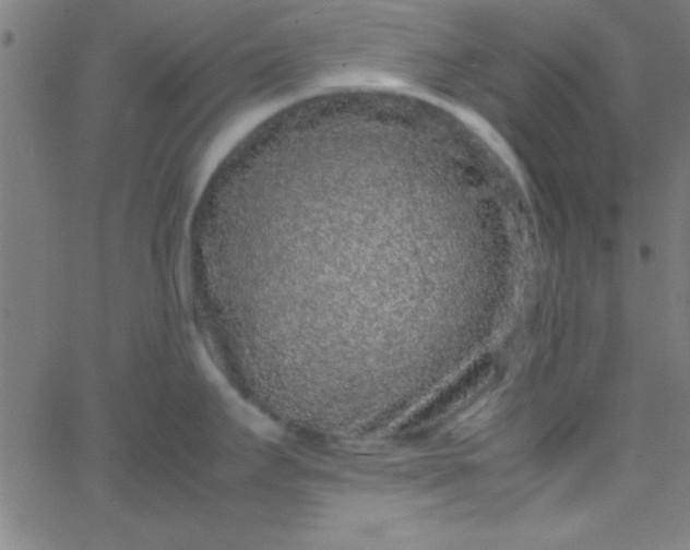 X0000067911295200604271908