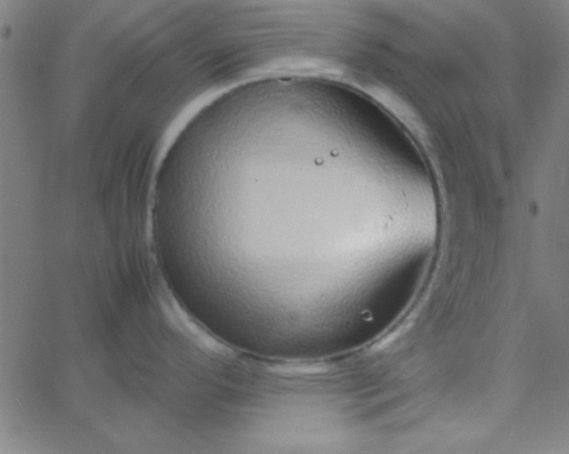 X0000067911296200604271908