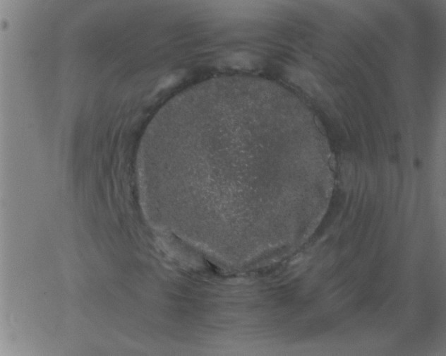 X0000067911297200604271907