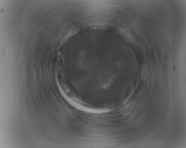 X0000067911298200604271907