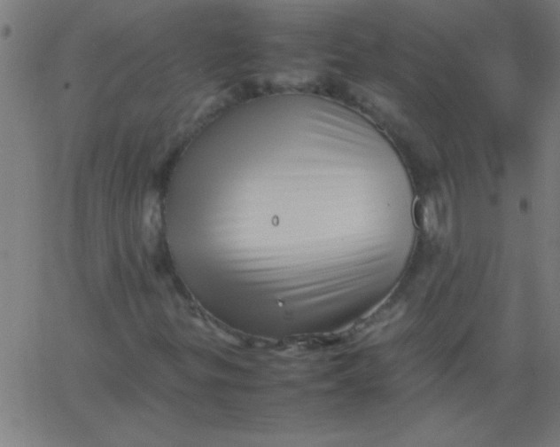 X0000067911299200604271907