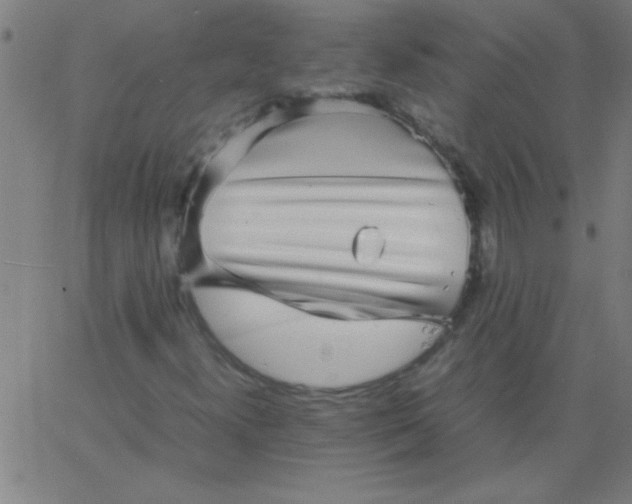 X0000067911300200604271907