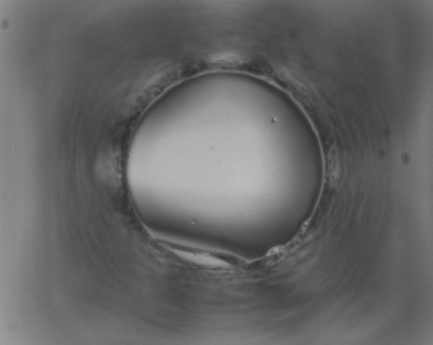 X0000067911301200604271907