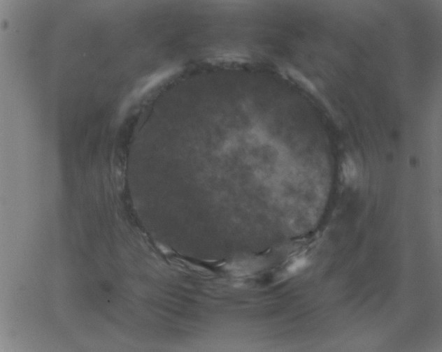 X0000067911303200604271907