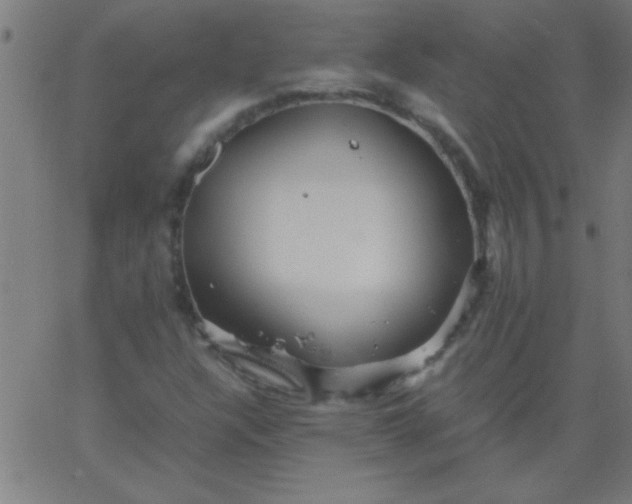 X0000067911304200604271907