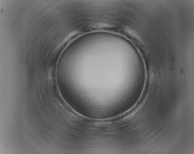 X0000067911305200604271907