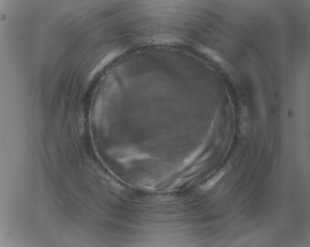 X0000067911306200604271907