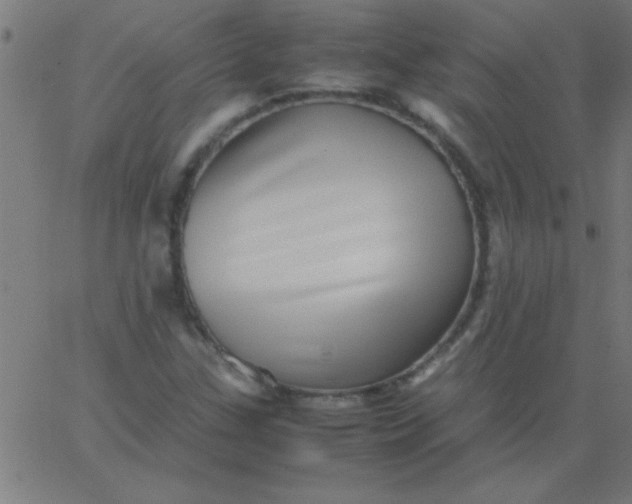 X0000067911307200604271907