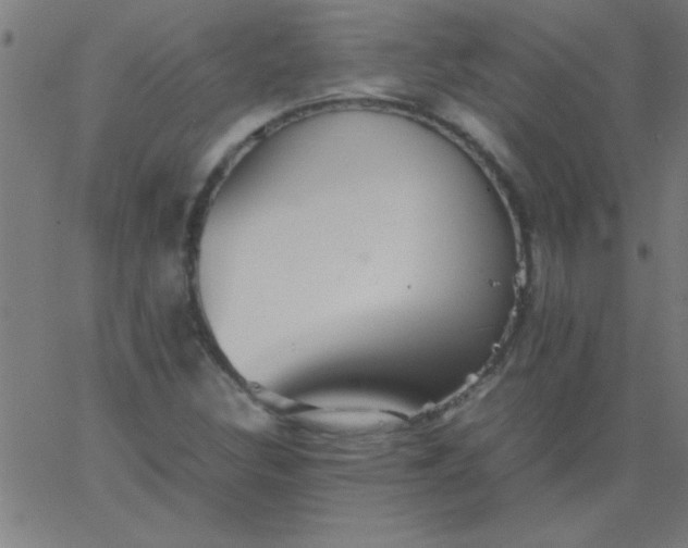 X0000067911308200604271907