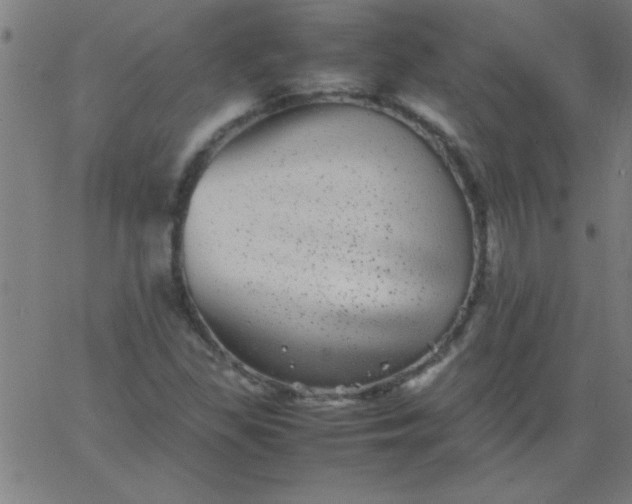 X0000067911309200604271907