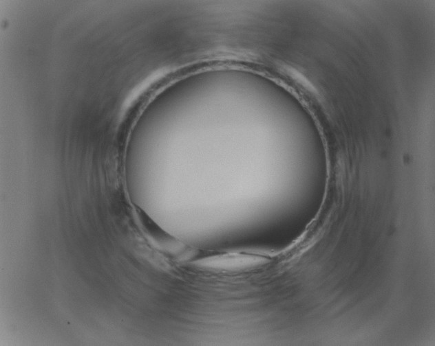 X0000067911310200604271907