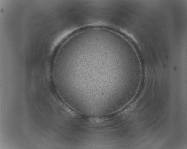 X0000067911311200604271908