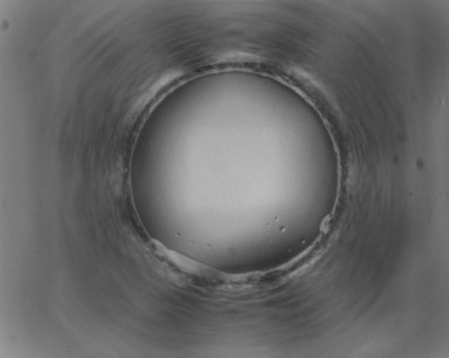 X0000067911313200604271908