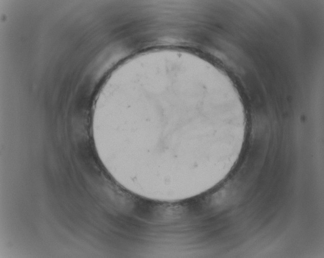 X0000067911314200604271908