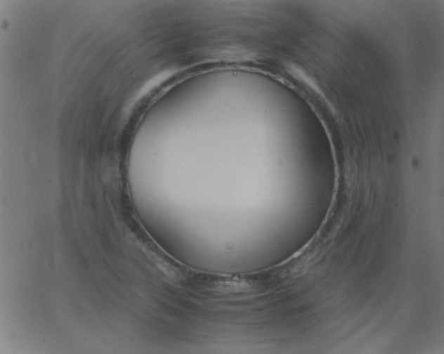 X0000067911315200604271908