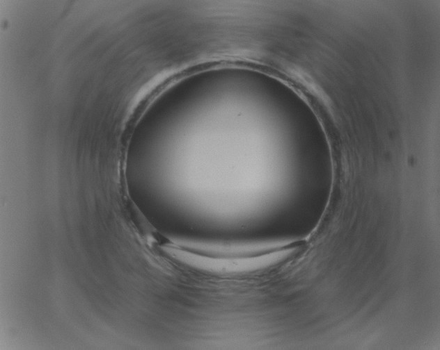 X0000067911316200604271908