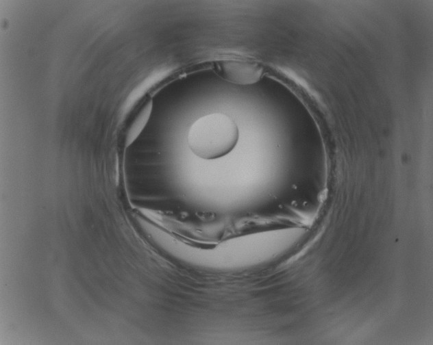 X0000067911317200604271908