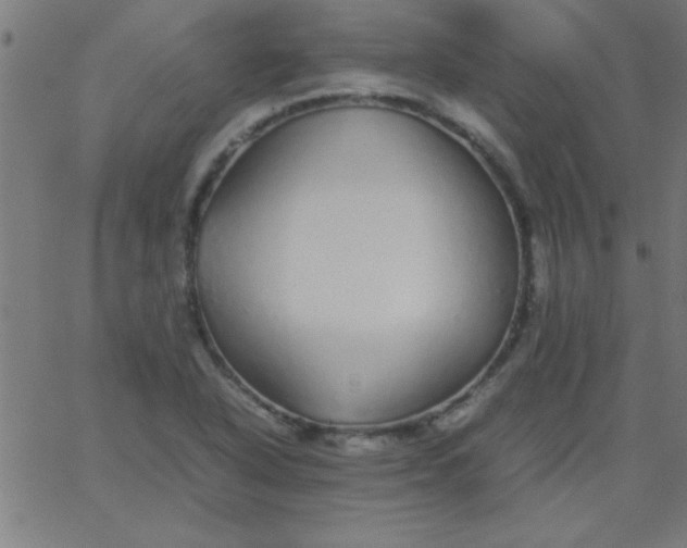 X0000067911318200604271908