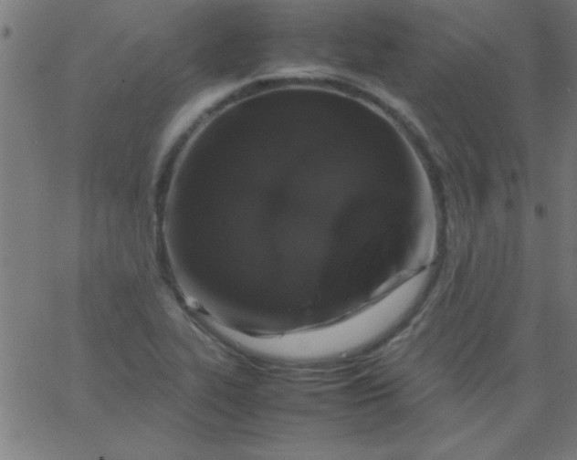 X0000067911319200604271908