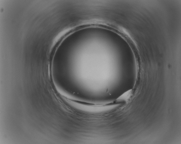 X0000067911320200604271908