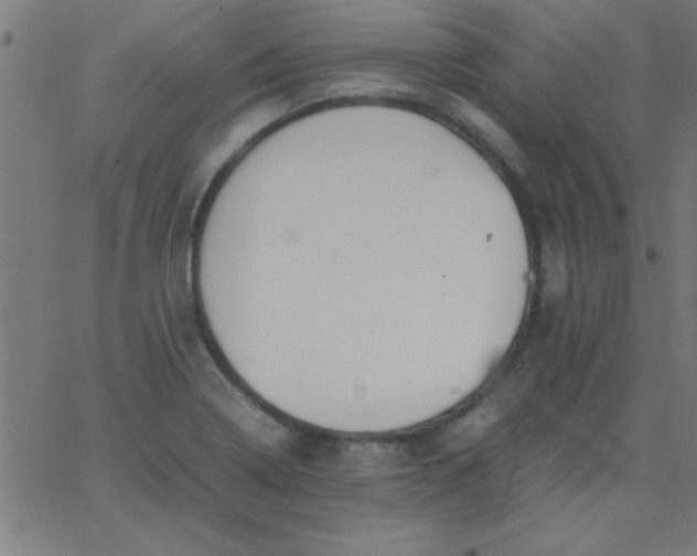 X0000067911322200604271908