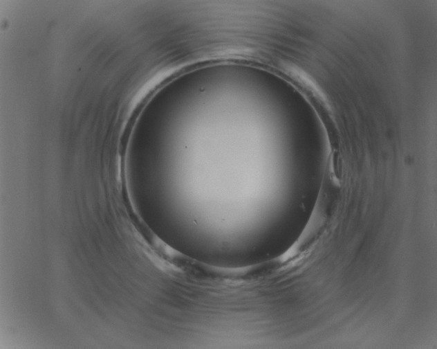 X0000067911324200604271908