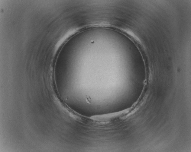 X0000067911325200604271908