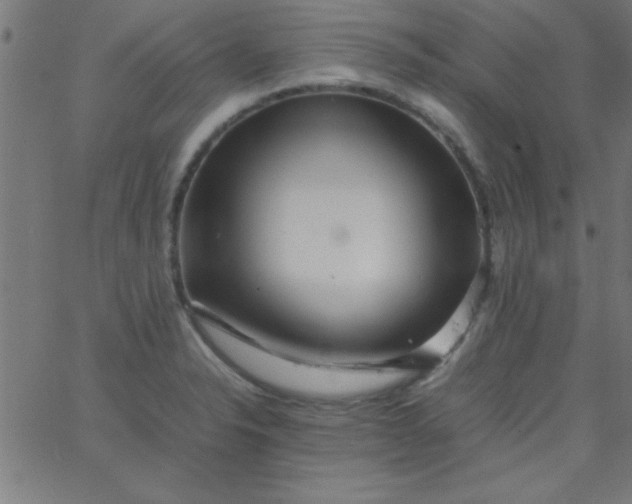 X0000067911326200604271908