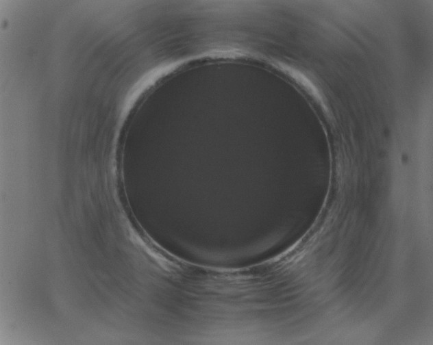 X0000067911327200604271908