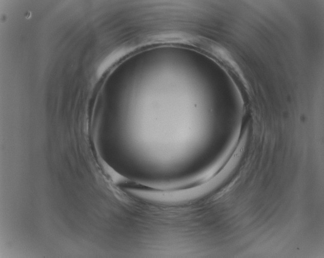 X0000067911328200604271908