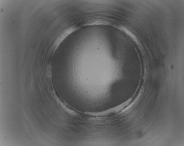 X0000067911329200604271908