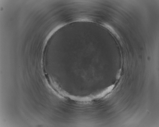 X0000067911331200604271908