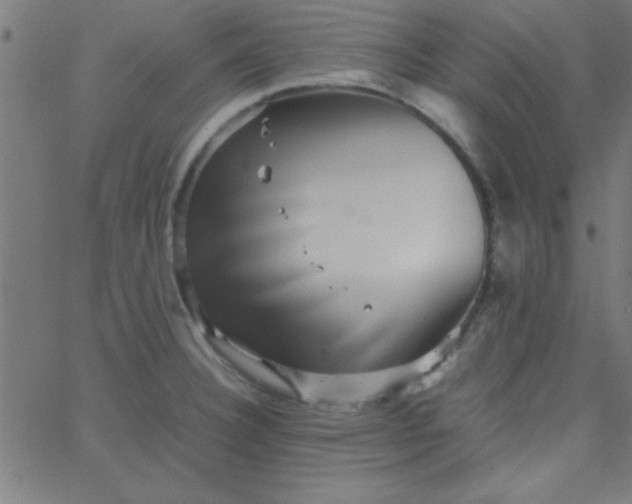 X0000067911332200604271908