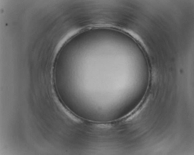 X0000067911333200604271908