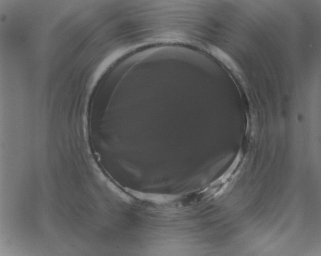 X0000067911334200604271908