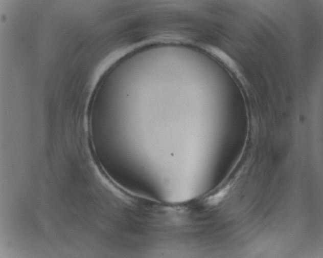 X0000067911335200604271908