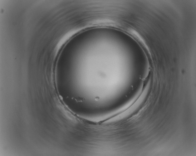 X0000067911336200604271908