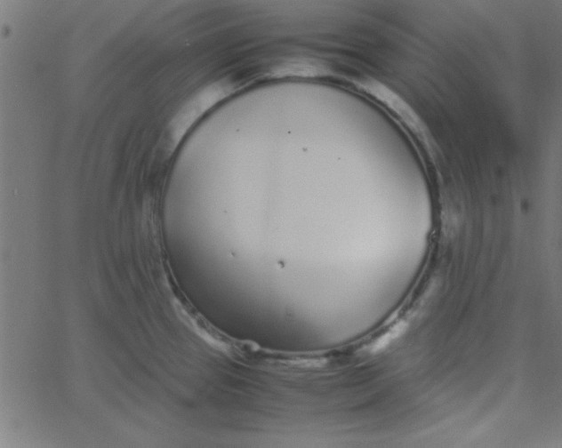 X0000067911337200604271908