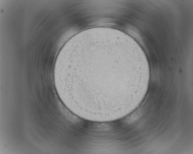 X0000067911338200604271908