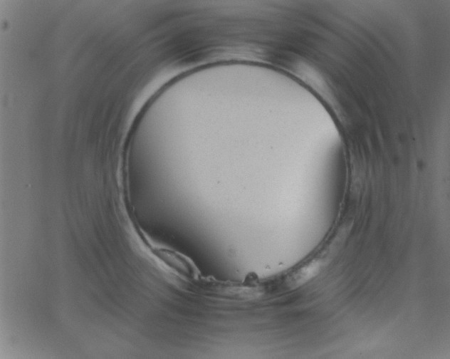 X0000067911339200604271908