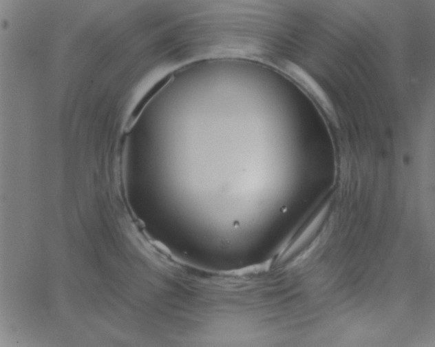 X0000067911340200604271908