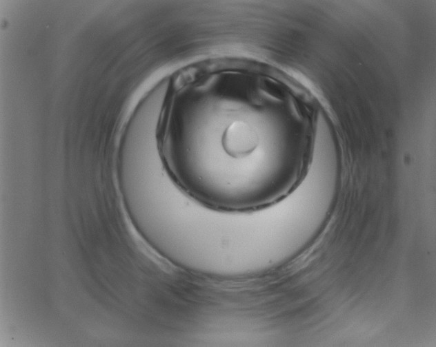 X0000067911342200604271908