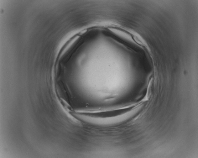 X0000067911343200604271908